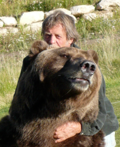 A person embraces a large bear in a natural setting, surrounded by grass and rocks.